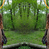 ðŸŒ±ðŸŒ²ðŸŒ³ðŸŒ·ðŸŒ¸ðŸŒ¹ðŸ€ðŸðŸðŸ‚ðŸƒ