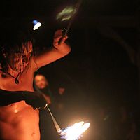 Where the wild things burn