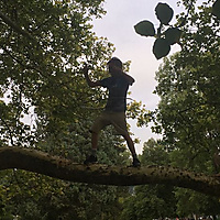Drum Circle Tree Hoopin