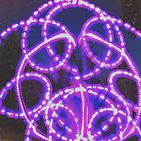 Light bending in the forest