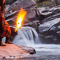 Dragon in its natural habitat