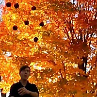 Excitement after clean 9 ball flash