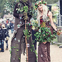 Valerian Entertainments Tree and Fairy