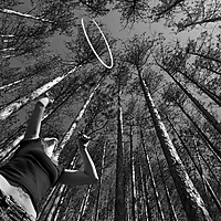 Tree Hooping