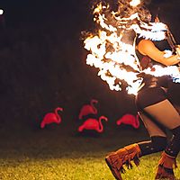 Engulfed in the flame ðŸ”¥