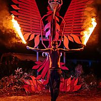 Challenging the phoenix