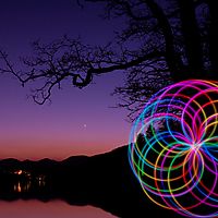 Rainbow flower at sunset