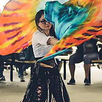 Fire and Ice spin flags