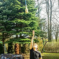 Fly... fly... my contact staff