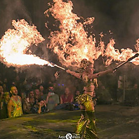 Desert Dwellers Live Experience