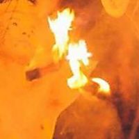 ElectroFire Prince on Fire Fans