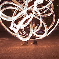 Flowers traped in the circle