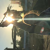 Sunrise at the Forest