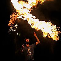 Free bird, Free staff !