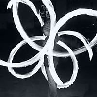 Old Dog New Butterfly