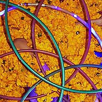 Infinito Cempasuchitl.