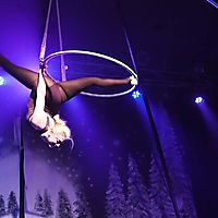 Bendy aerialist