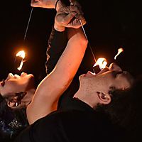 Bite The Hand That Feeds