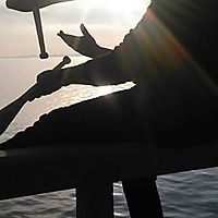 Irish person Juggling in Denmark. By Thomas Horner