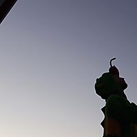 Dragon onesie at sunset