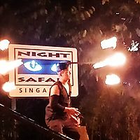 Dragon head spinning