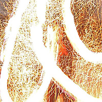 Renard the Fire Druid