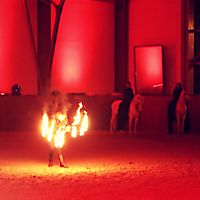 Fire fans and horses