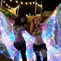 Festival Wings