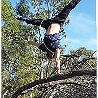 Tree Hooping