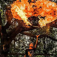 Flexing on the Haters