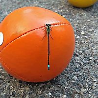 A friend at Herald Sq