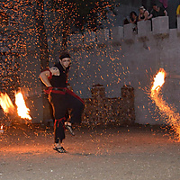 Zev and Floki of Solar Rain