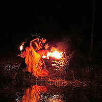 The Phoenix & Her Guardian Angel