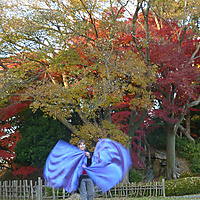 Japan: Nagoya Castle