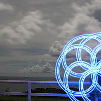 6 pedal inspin flower